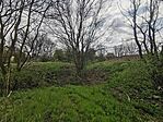 IMG_20250410_140103