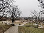 IMG_20250119_150532
