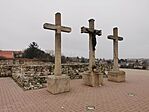 IMG_20250119_150626