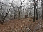 IMG_20241230_105433