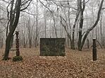 IMG_20241230_110156