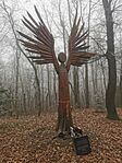 IMG_20241230_110252