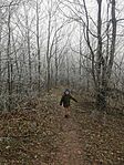 IMG_20241230_113859