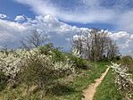 IMG_9139(1)