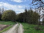 IMG_9142(1)