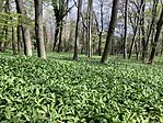 IMG_9180(1)