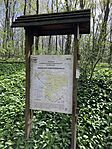 IMG_9184(1)