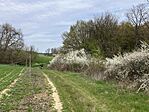 IMG_9189(1)