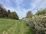 IMG_9171(1)