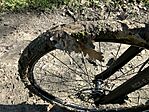 IMG_9255(1)