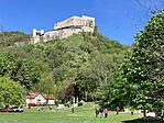 IMG_9265(1)