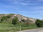IMG_9278(1)