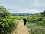 IMG_2251