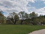 IMG_20250412_131142_HDR