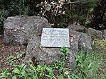 IMG_20250425_124450