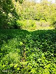 IMG_20250429_145228