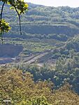 IMG_20250429_092616