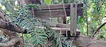 IMG_20250413_135126