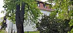 IMG_20250413_135229