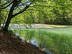 IMG_20250421_103343