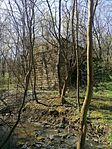IMG_20250405_114400
