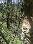 IMG_20250405_115500