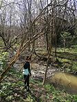 IMG_20250405_121254