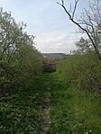IMG_20250405_133523