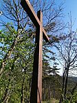 IMG_20250413_082447