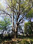 IMG_20250420_125709