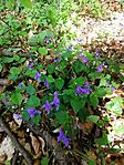 IMG_20250420_125733
