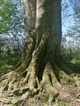 IMG_20250420_130216
