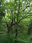 IMG_20250428_145832_1