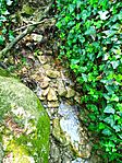 IMG_20250430_113547