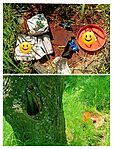 IMG_20250427_135304_copy_1553x2048