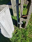 IMG_20250427_151111