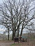 IMG_20250403_153720.jpg