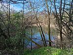 IMG_20250404_100909.jpg
