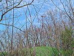 IMG_20250404_102734.jpg