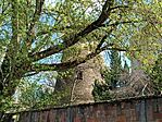 IMG_20250404_124608.jpg