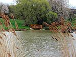 DSCN9206