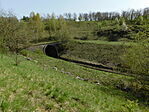 DSCN9351