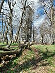 IMG-20250420-WA0017