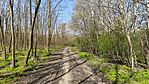IMG_20250405_103312