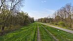 IMG_20250407_084702