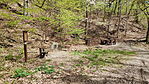 IMG20250410122733_resize_2