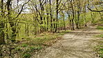 IMG20250410122513_resize_2