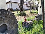 IMG_20250410_125821