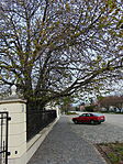 A főbejáratnál parkoltunk