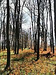 IMG_20250406_105903